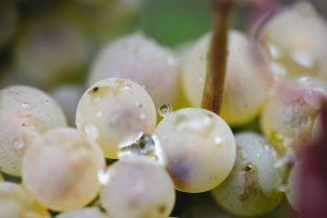 AD0A3802-edited-LD (1)