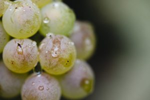 AD0A3836-edited-LD (1)