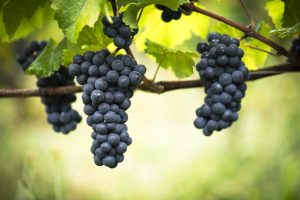 AD0A4082-edited-LD (1)