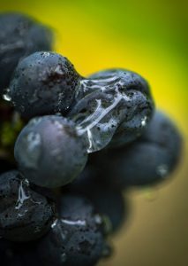 AD0A4221-edited-LD-recadre