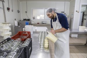 AD0A6151-edited-LD (1)