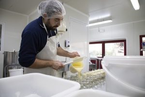 AD0A6188-edited-LD (1)