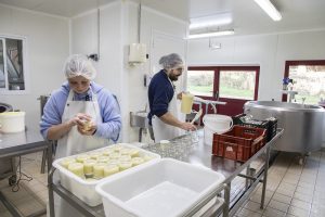 AD0A6449-edited-LD (1)