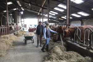 AD0A6687-edited-LD (1)