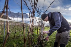 DomaineLucey-AD0A3848-Edited-LD