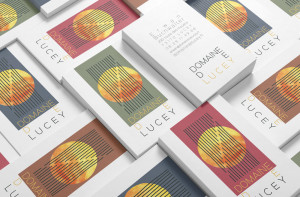 DomainedeLucey cartevisite mockup