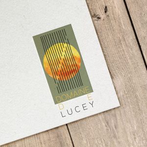 DomainedeLucey logo mockup-1 (1)