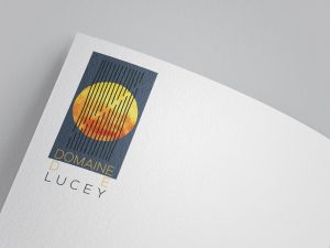 DomainedeLucey logo mockup-5