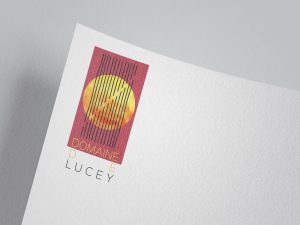 DomainedeLucey logo mockup-7