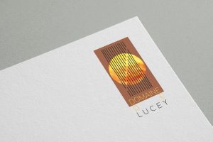 DomainedeLucey logo mockup-9 (1)